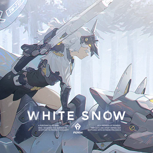 White Snow Cover